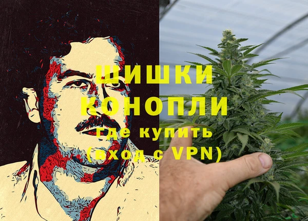 прущая мука Каменка