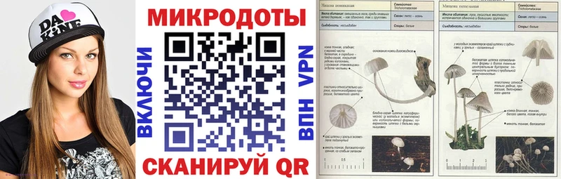 Галлюциногенные грибы Cubensis  гидра как зайти  Полтавская 